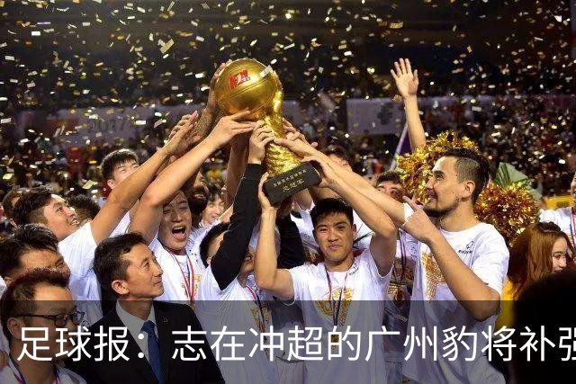 足球报：志在冲超的广州豹将补强锋线，正与目标外援前锋洽谈